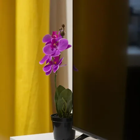 Cozy One-bedroom Majzela Manufaktura By Renters Apartment