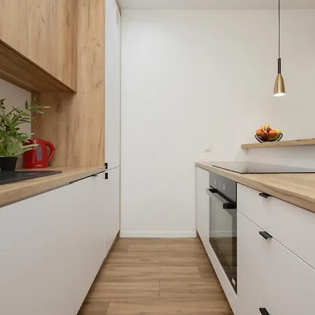 Cozy One-bedroom Majzela Manufaktura By Renters Apartment